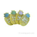 4 packs de glace d'ananas